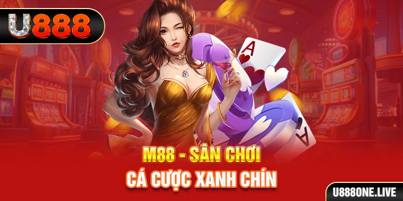vn777 gà chọi cậu thanh