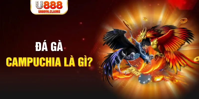 vn777 xổ số miền nam thứ sáu