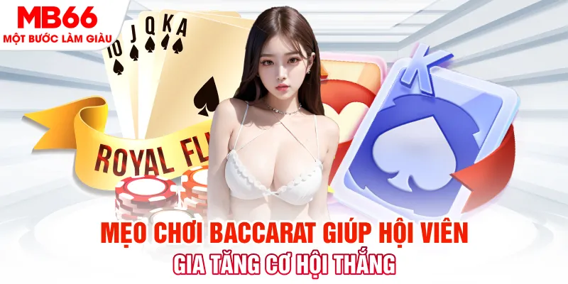 vn777 đá gà 88
