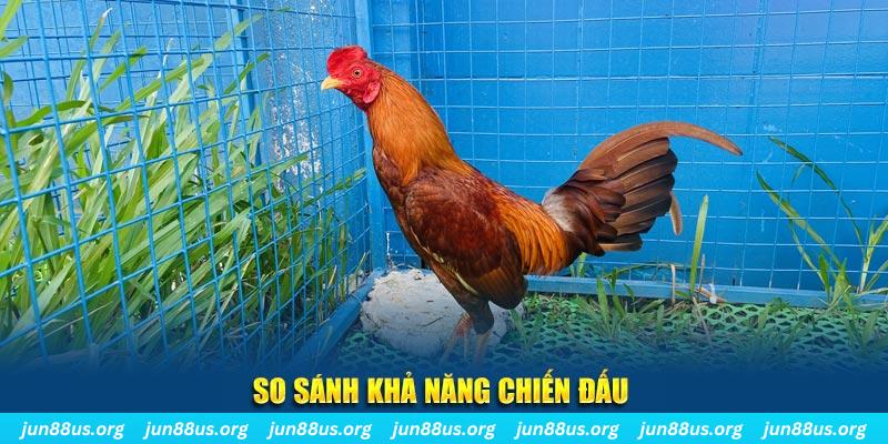 vn777 xổ số tiền giang