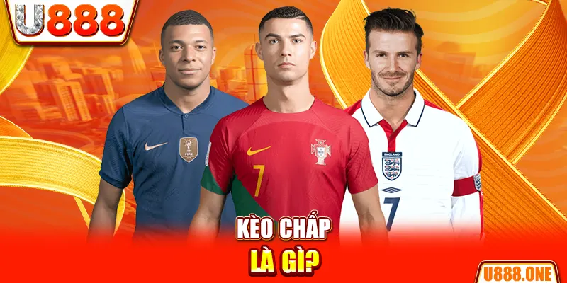 vn777 chổi lông gà