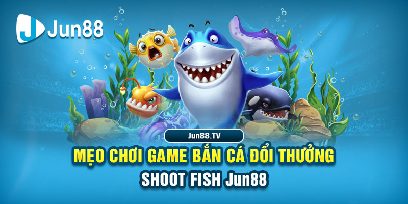 vn777 tai game danh bai bigkool ve may tinh