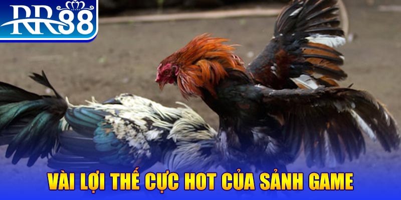 vn777 nổ hủ là trò gì