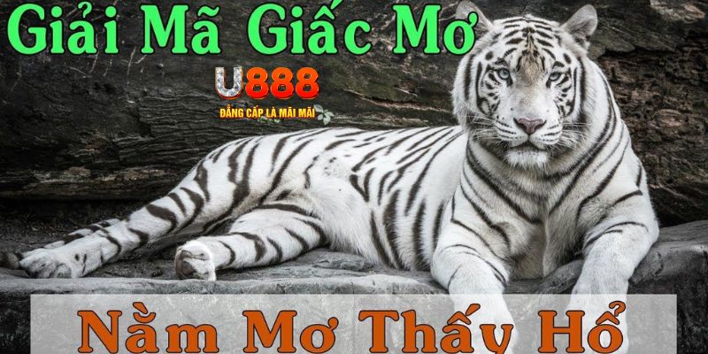 vn777 xổ số kiến thiết miền bắc