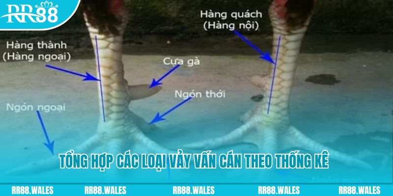 vn777 nổ hũ chơi như thế nào