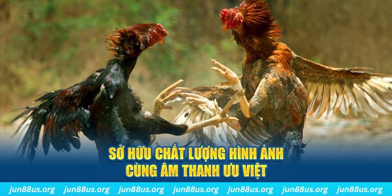 vn777 tai game danh bai ve may tinh