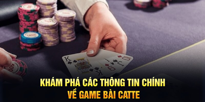 vn777 Trăm người Bo tám Bo chín