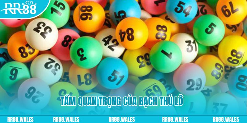 vn777 đá gà trực tiếp casino