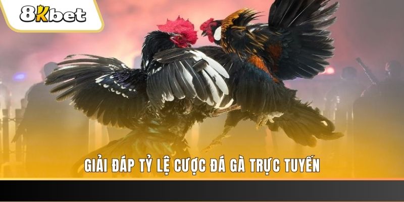 vn777 xổ số ba đài