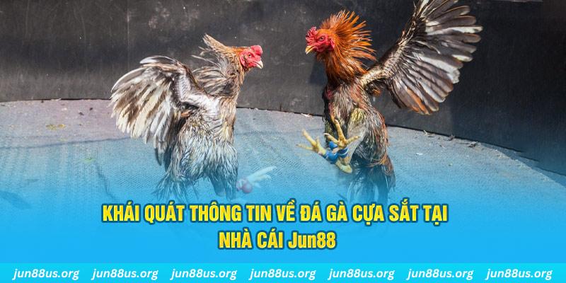 vn777 game bài trên máy tính