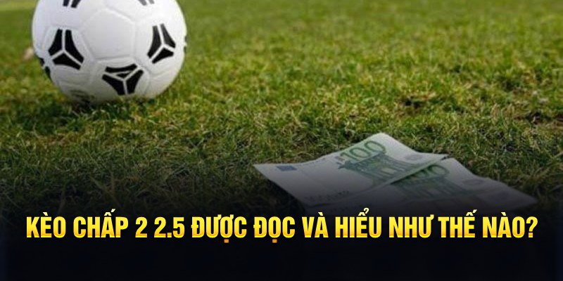 vn777 đá gà thomo