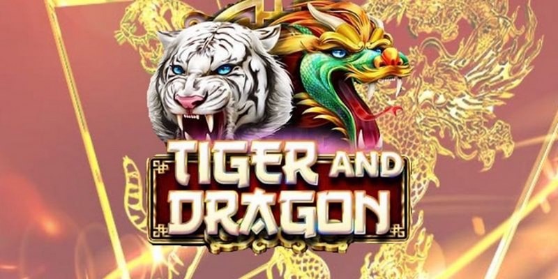 vn777 trực tiếp đá gà thomo