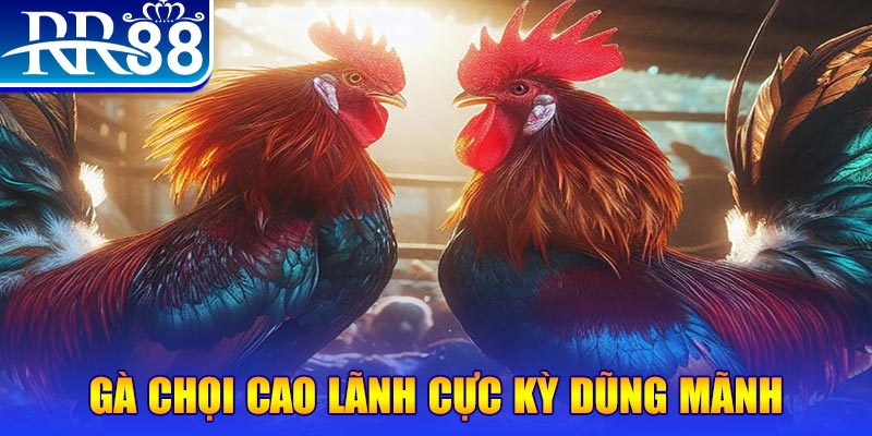 vn777 natural” trong baccarat nghĩa là gì？