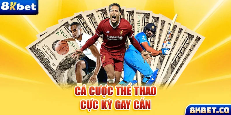 vn777 Bữa tiệc dành cho thanh thiếu niên